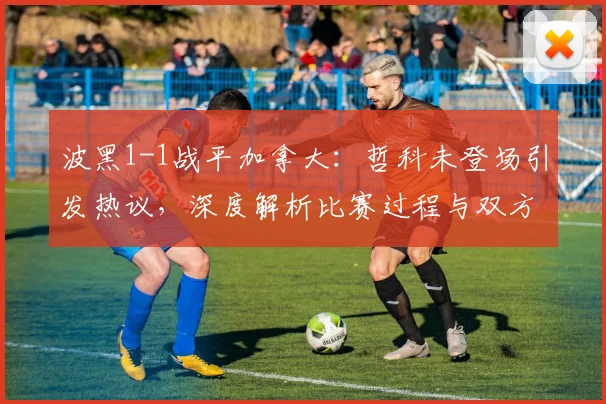 波黑1-1战平加拿大：哲科未登场引发热议，深度解析比赛过程与双方2026世界杯前景